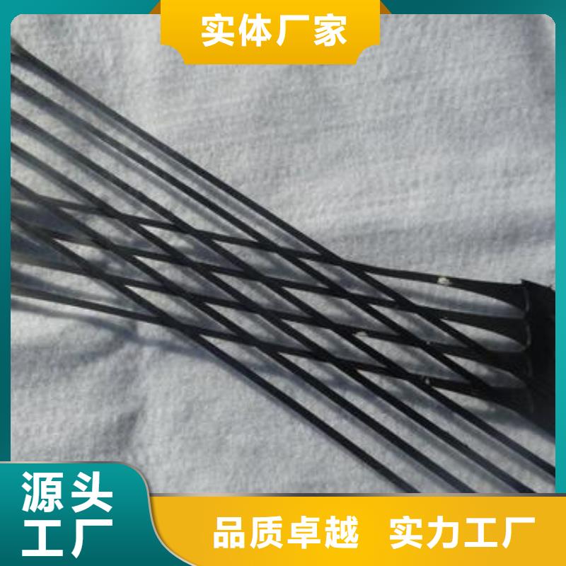 【单向拉伸塑料格栅三维复合排水网高品质诚信厂家】