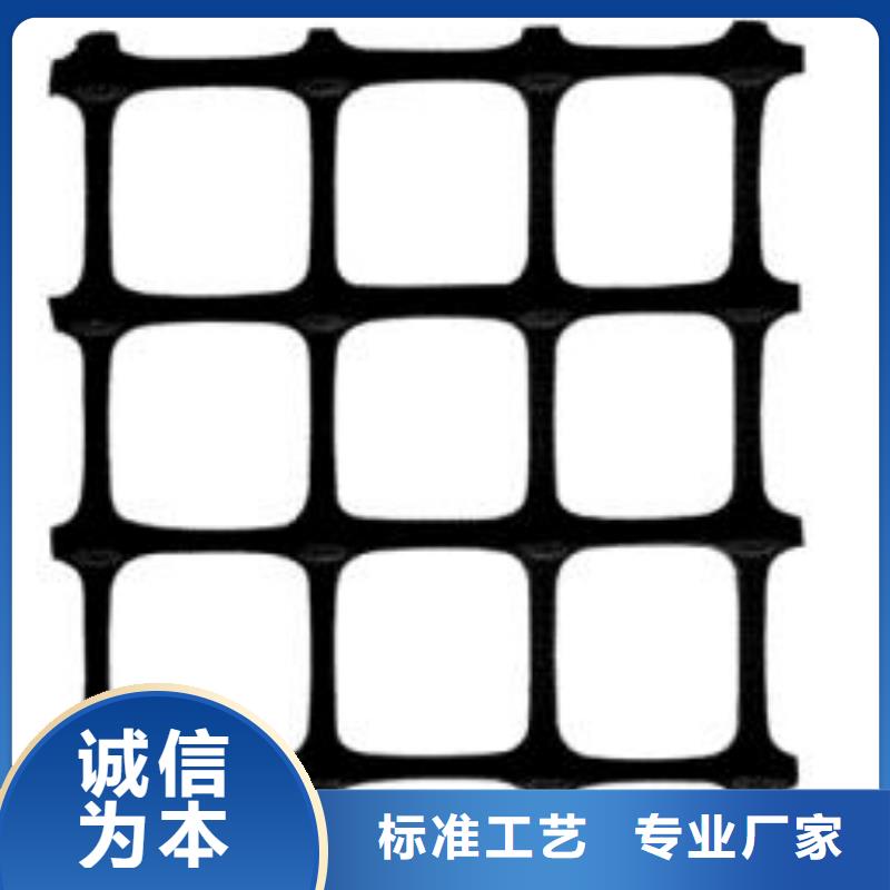 【 双向塑料土工格栅-玻纤格栅精选好货】 鼎诺土工材料(南充市分公司)