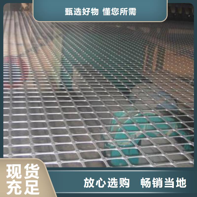 雙向塑料土工格柵三維植被網真正的源頭廠家