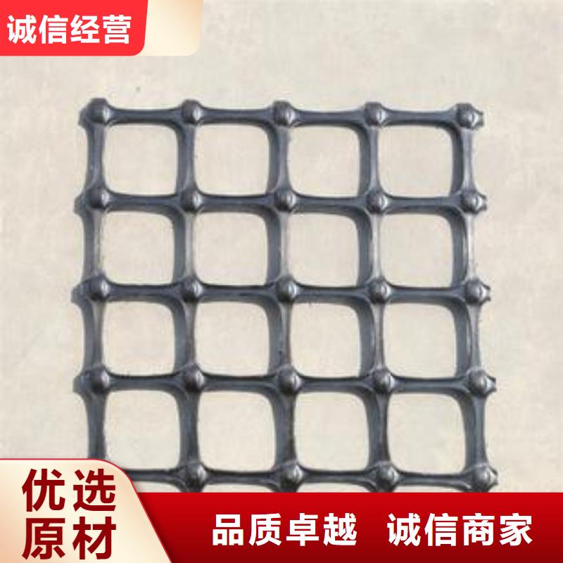 双向塑料格栅厂家供应