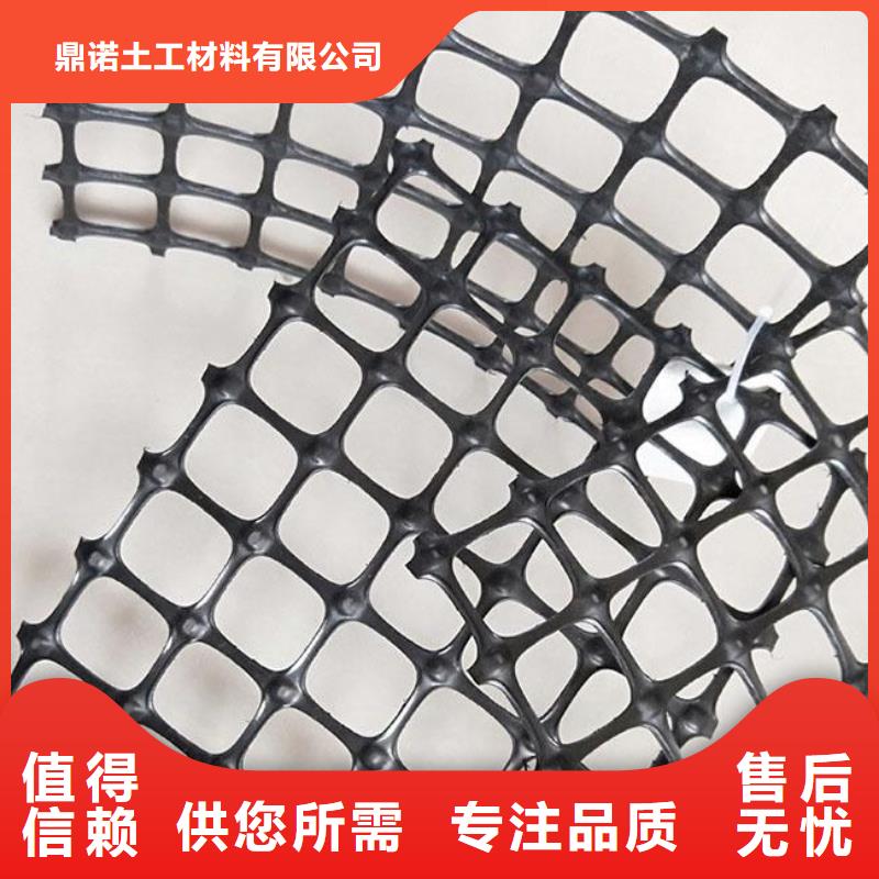 双向塑料土工格栅三维植被网品质做服务