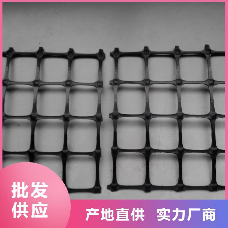 【双向塑料土工格栅】 玻纤格栅海量现货直销-鼎诺土工材料(桂林市分公司)