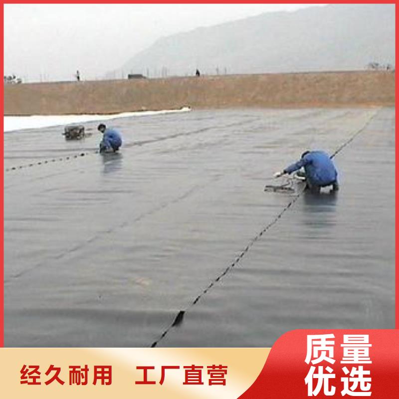 抗老化污水池土工膜车库顶板绿化用1.2mmHDPE土工膜防渗膜1.0mm价格货到付款