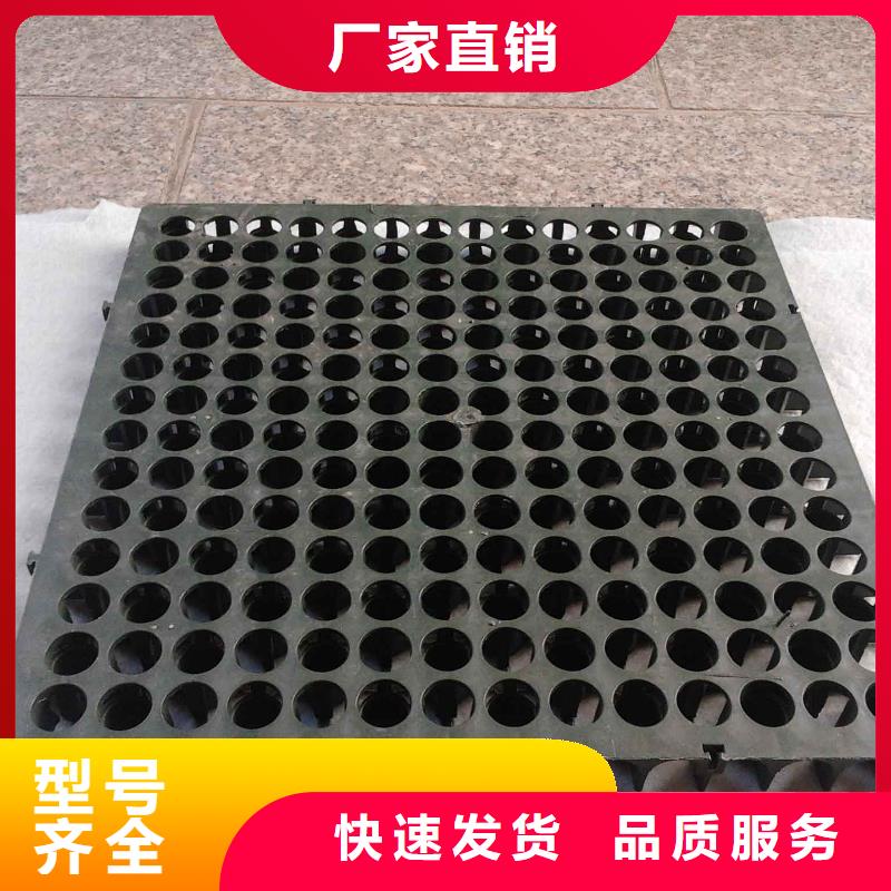 鼎诺塑料盲沟【蓄排水板】 三维复合排水网拒绝伪劣产品qy55.com