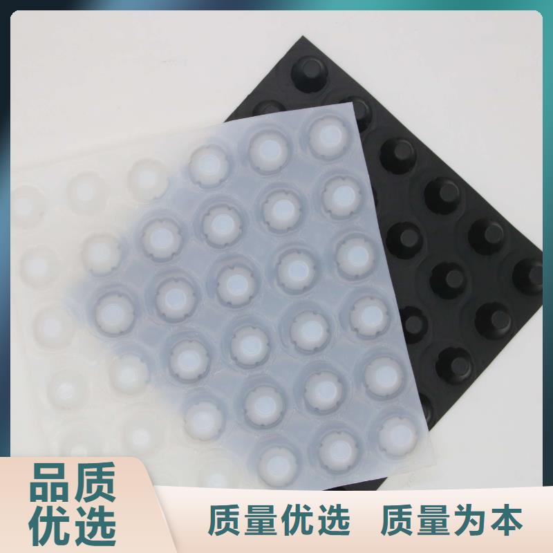 塑料盲沟鼎诺【蓄排水板】_三维复合排水网根据要求定制