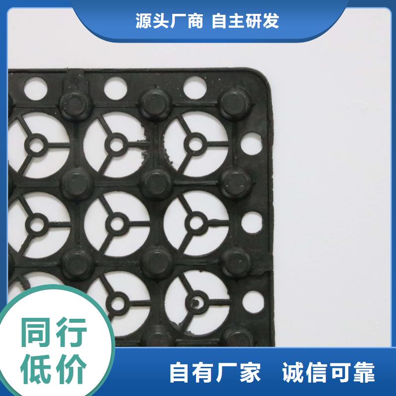 【蓄排水板水土保护毯专业厂家】