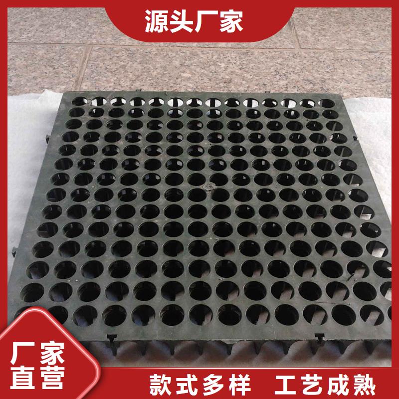 蓄排水板土工格室用的放心
