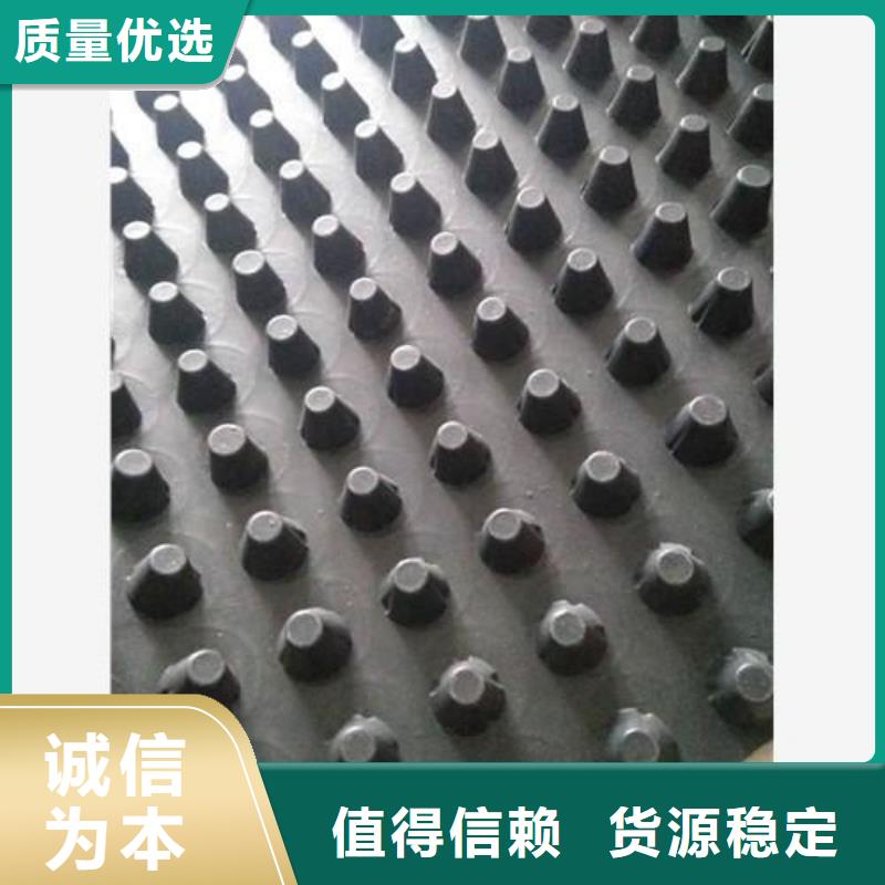 【蓄排水板】,土工格室打造行业品质_鼎诺土工材料(石家庄市分公司)