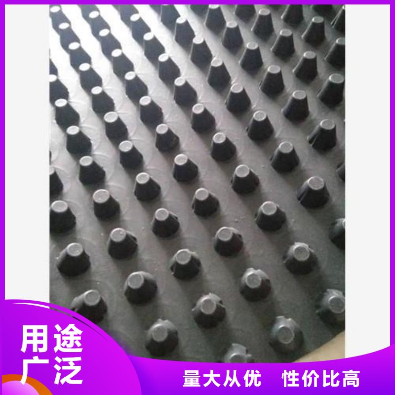 蓄排水板双向拉伸土工格栅拥有多家成功案例