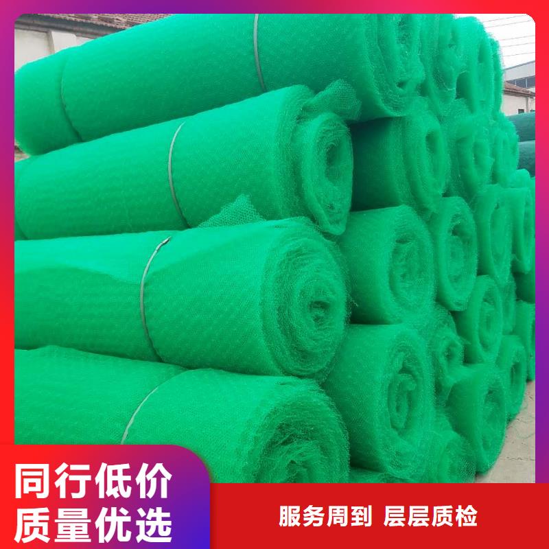 三维植被网绿色复合植被网三维土工植被网