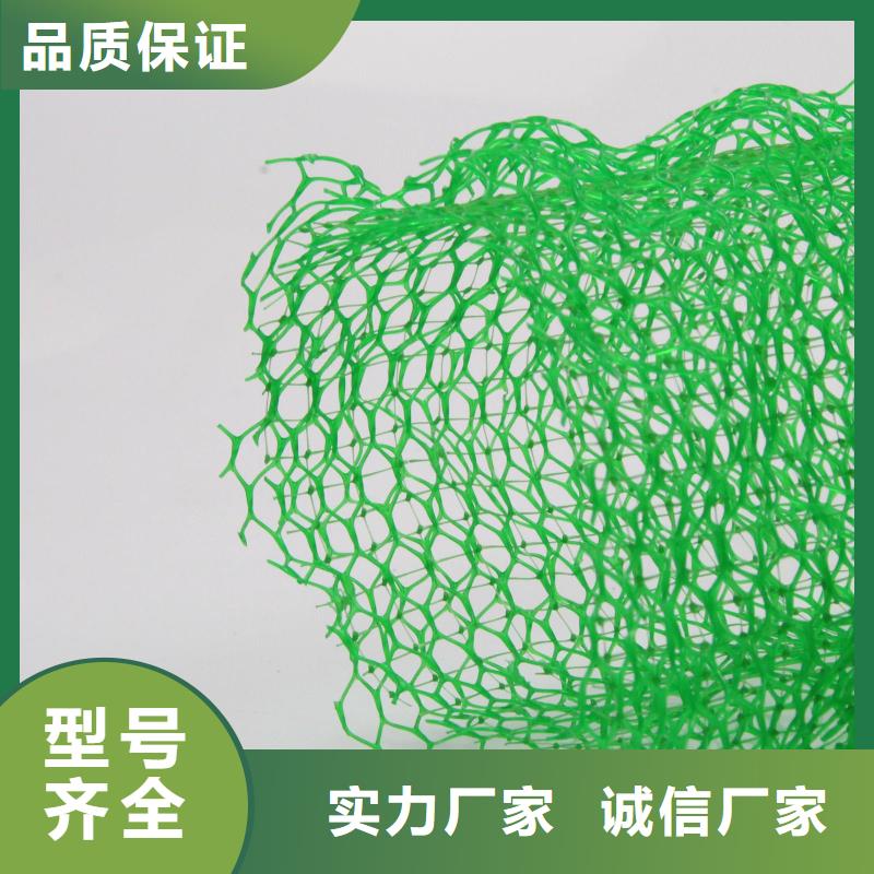 【三维植被网】 双向拉伸土工格栅现货销售-市场覆盖|宜黄|资溪|景德镇|九江|新余|萍乡|吉安|上饶-企业旺旺