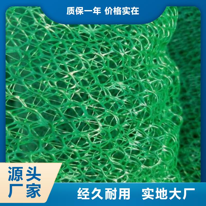 【三维植被网钢塑土工格栅一件也发货】