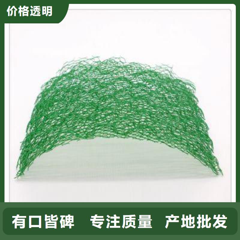 【三维植被网】 双向拉伸土工格栅现货销售-市场覆盖|宜黄|资溪|景德镇|九江|新余|萍乡|吉安|上饶-企业旺旺