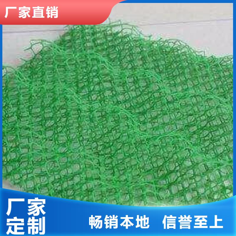 绿色三维网生产三维植被网生产