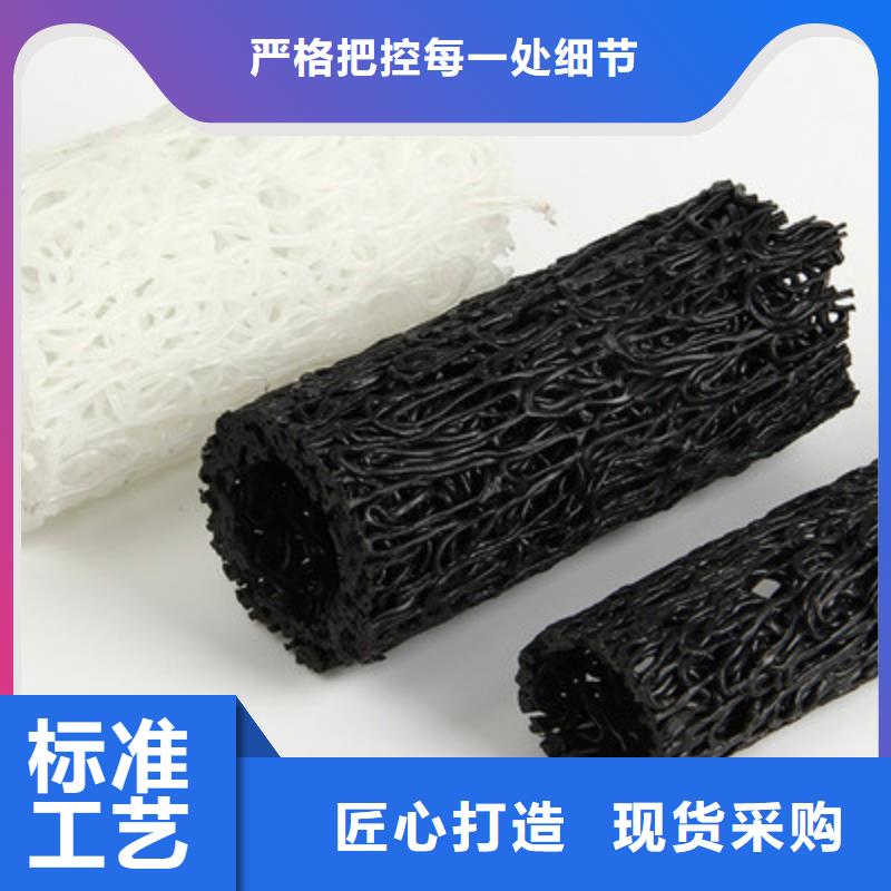 塑料盲沟-【三维复合排水网】发货迅速|许昌|新乡|焦作|三门峡|漯河qy55.com