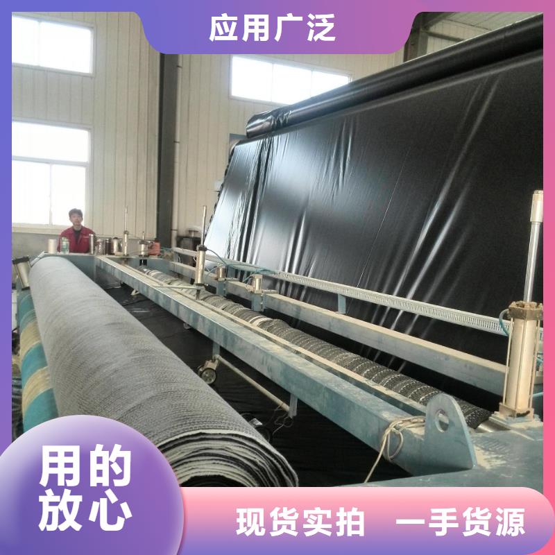 膨润土防水毯【双向塑料土工格栅】实体厂家支持定制