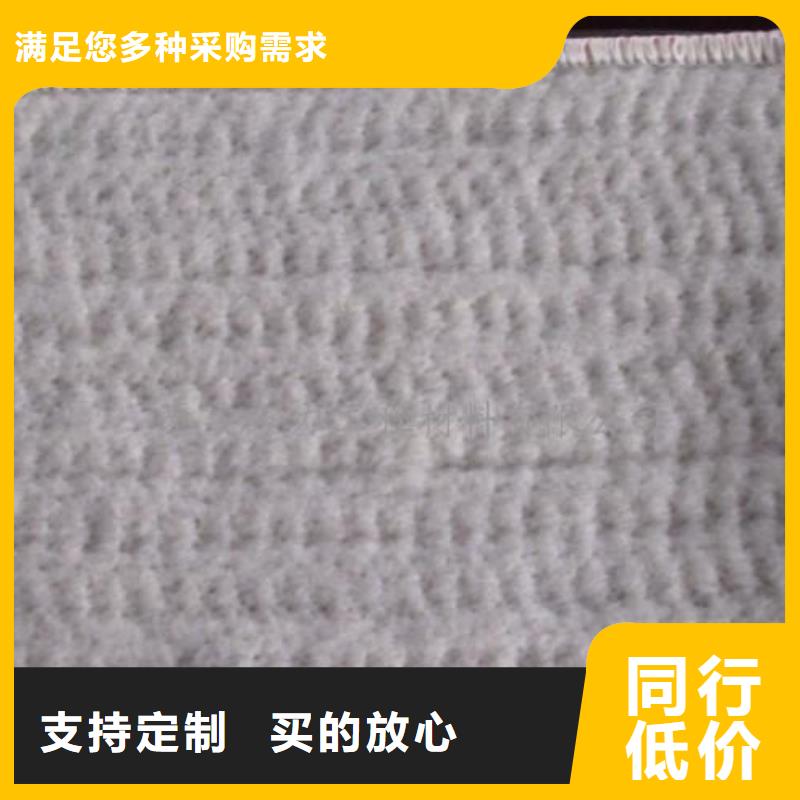 膨润土防水毯护坡土工网满足多种行业需求