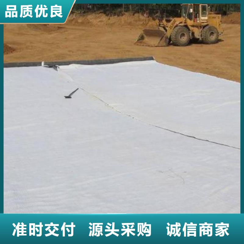 膨润土防水毯钢塑土工格栅厂家现货供应