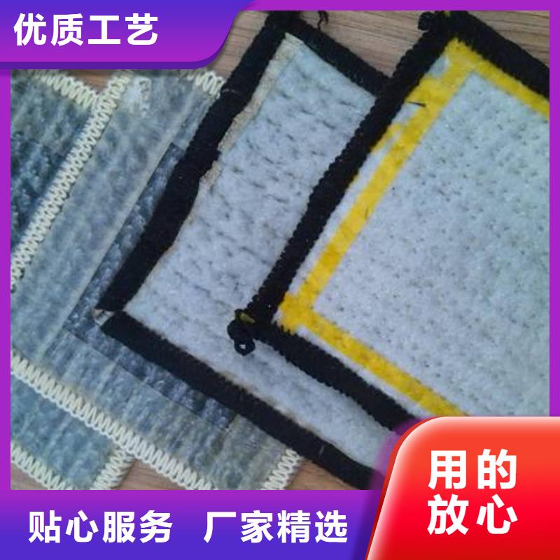膨润土防水毯PP焊接土工格栅品牌企业