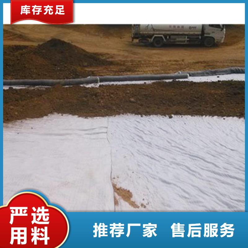 膨润土防水毯钢塑土工格栅厂家现货供应
