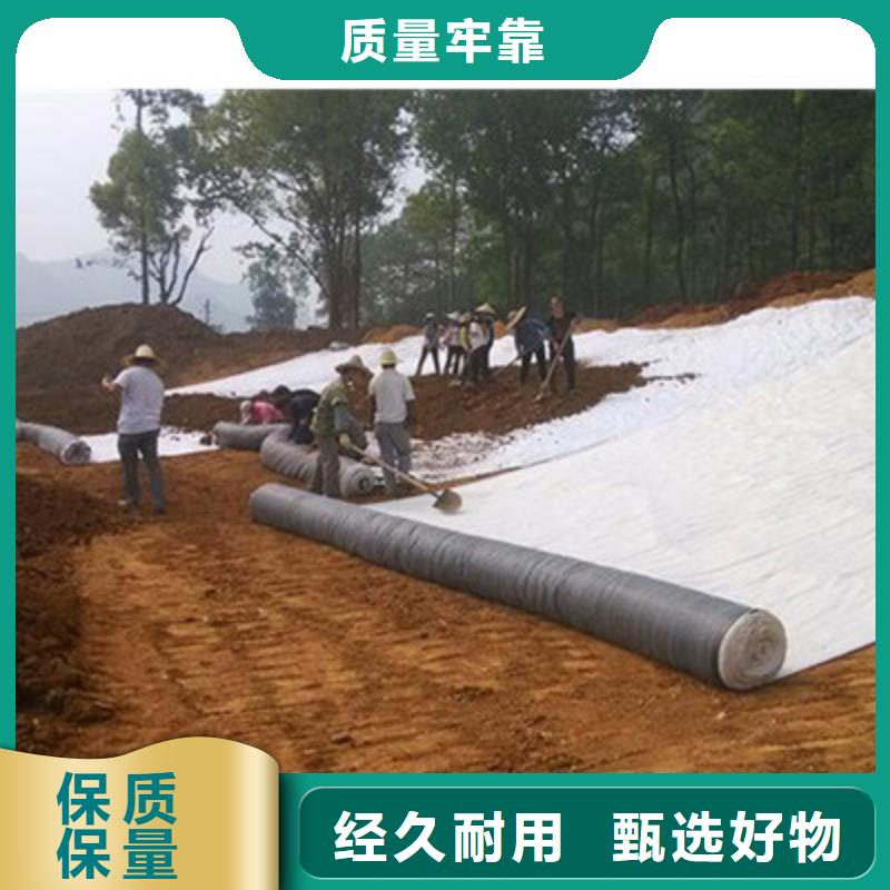 膨润土防水毯玻纤土工格栅市场报价