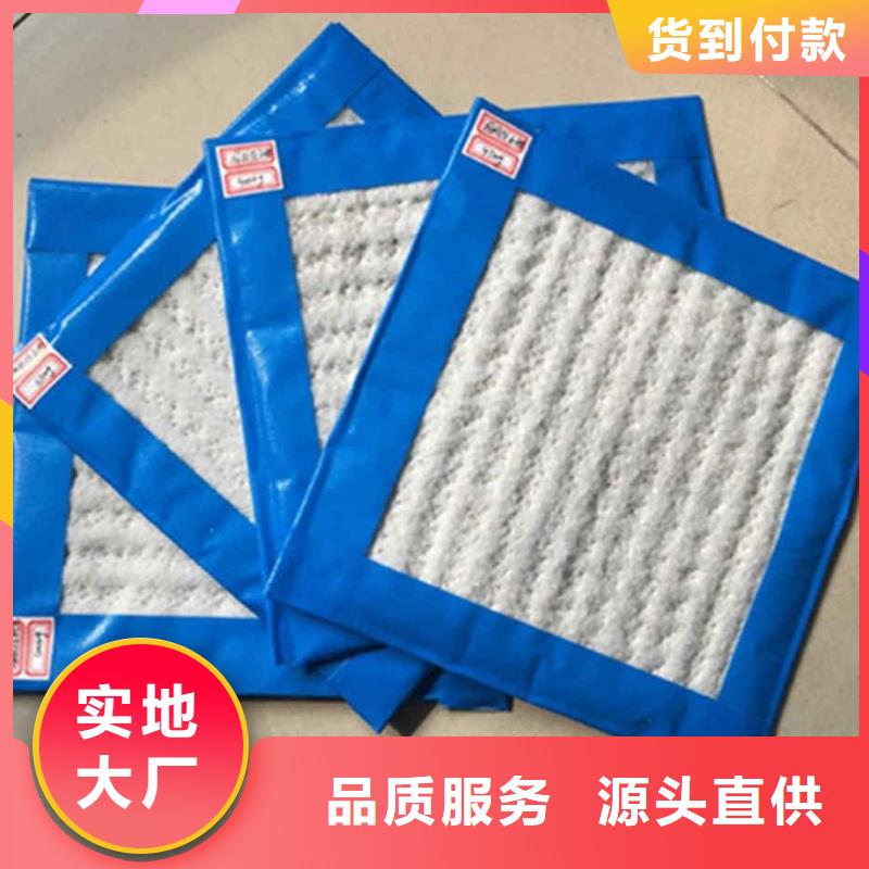 膨润土防水毯涤纶土工格栅畅销当地