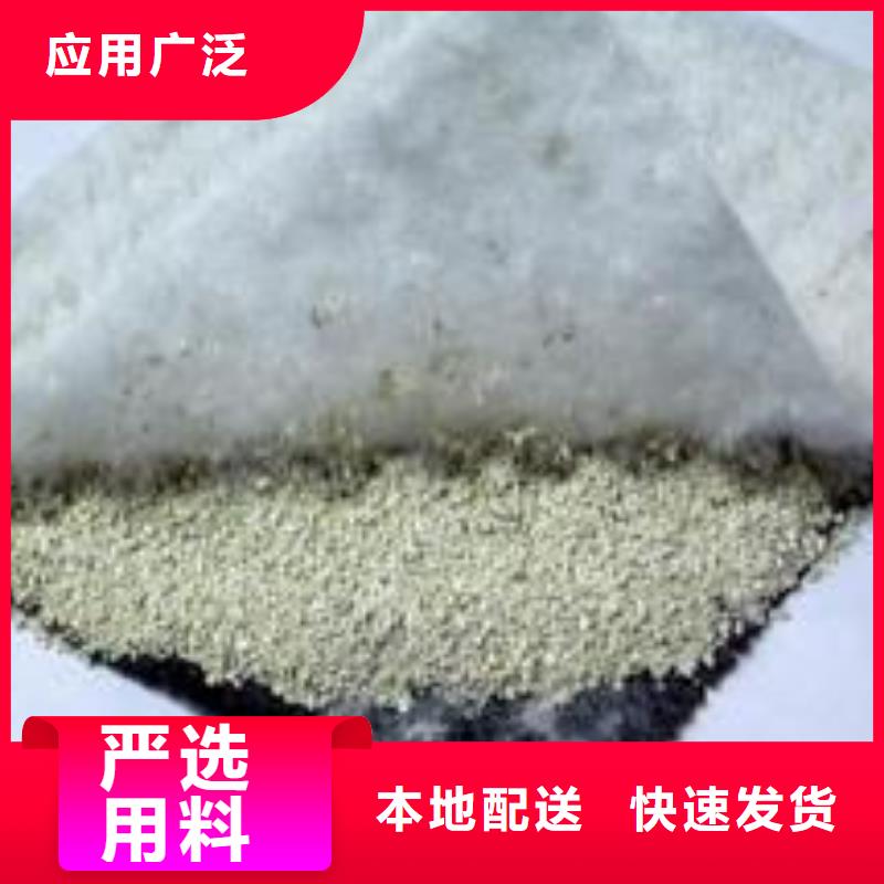 膨润土防水毯【双向塑料土工格栅】实体厂家支持定制