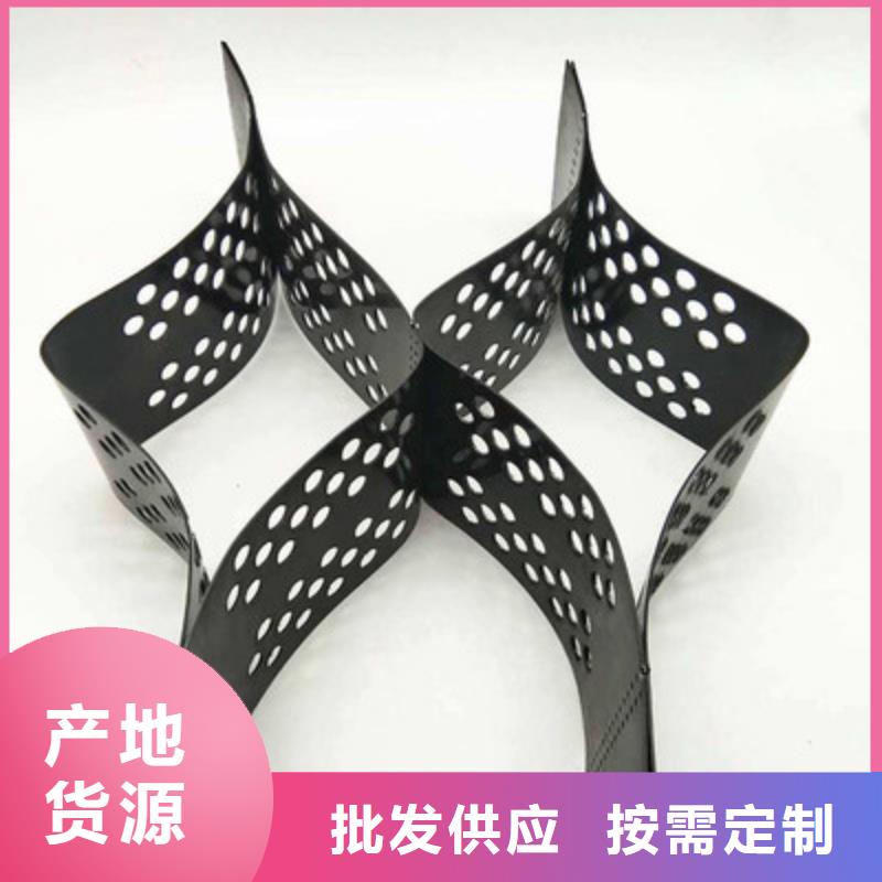 土工格室-【单向拉伸塑料格栅】您身边的厂家|武侯|大邑|泸州|乐山|南充|广安|广元|阿坝|雅安制造商