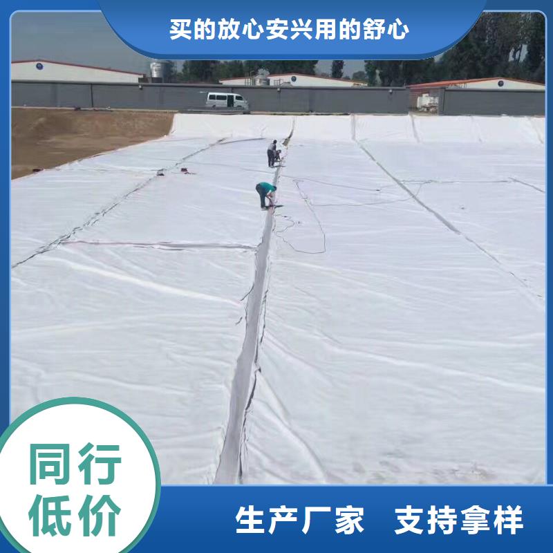 琼中县700g聚丙烯无纺土工布直销批发