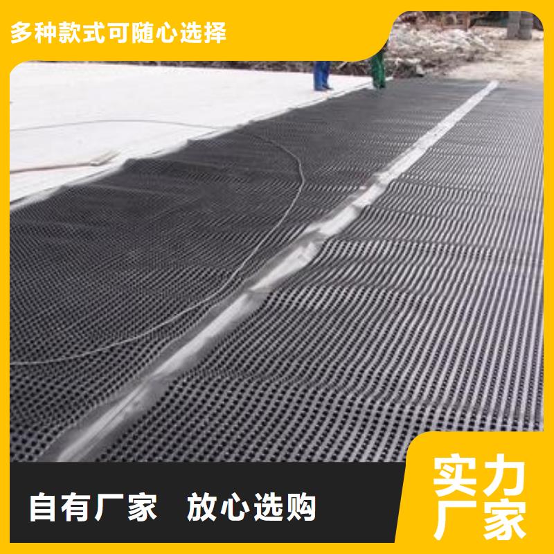 塑料排水板單向塑料土工格柵現(xiàn)貨充裕