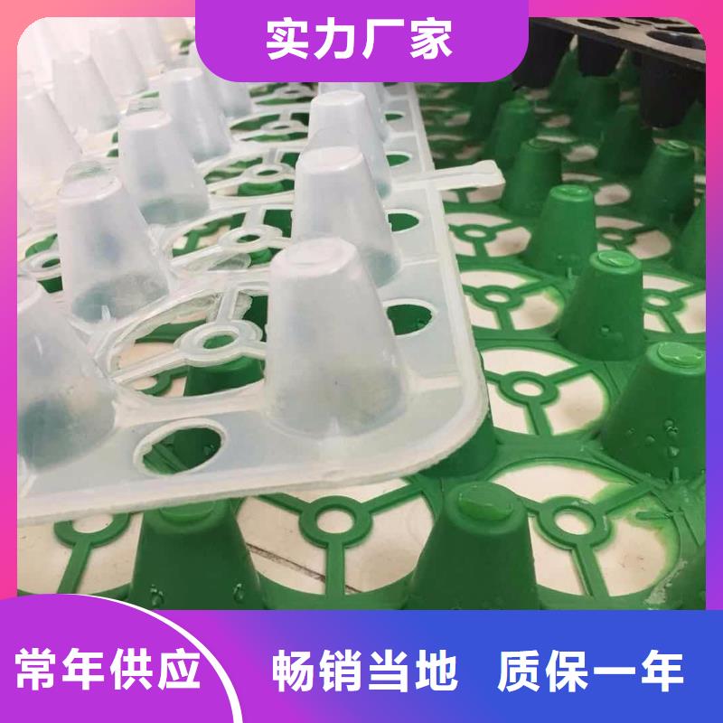 塑料排水板施工工艺