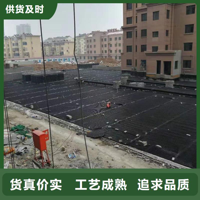 塑料排水板凹凸排水板