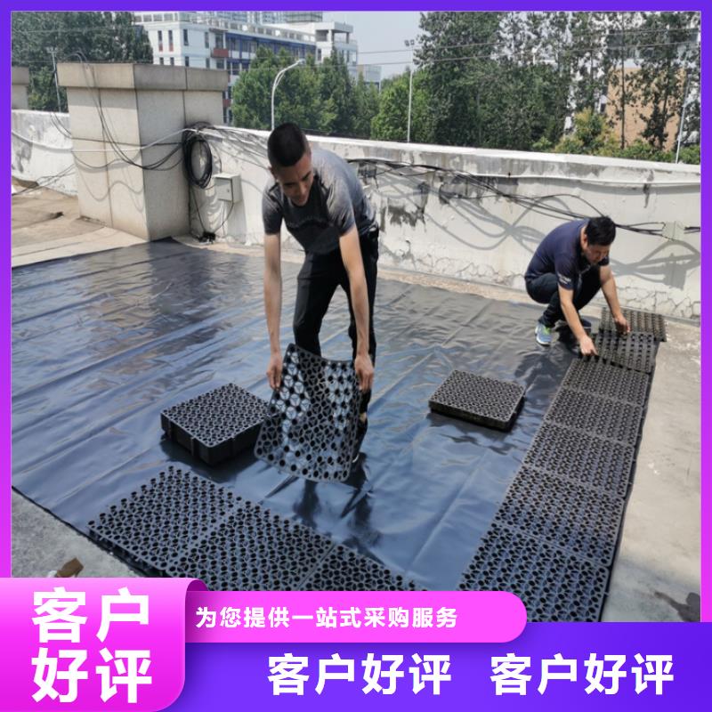 塑料排水板_膨潤土防水毯支持批發零售