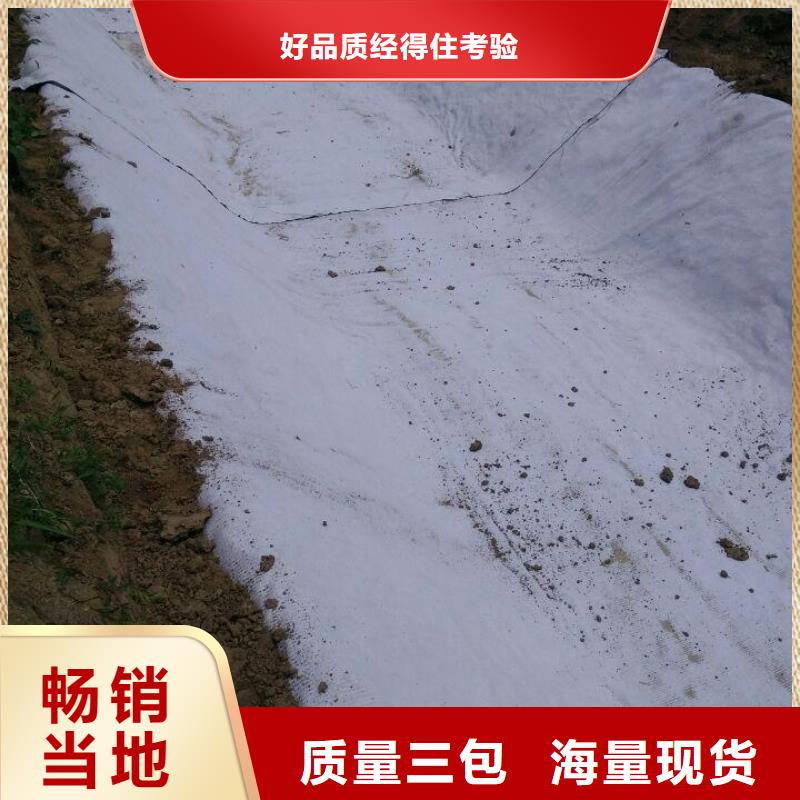 防水毯钢塑土工格栅实体诚信厂家