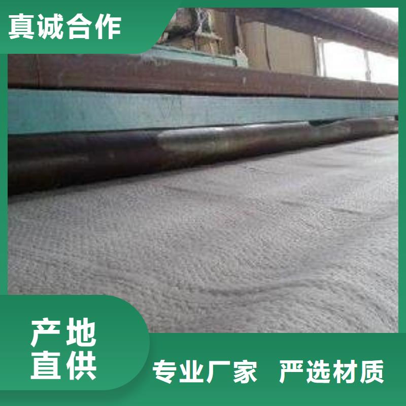 防水毯复合土工膜专注品质