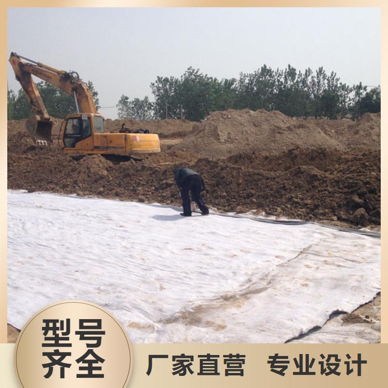 防水毯,土工布价格畅销当地