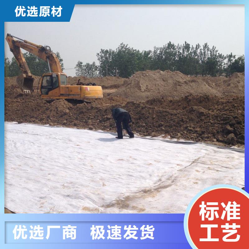 【防水毯】土工布价格随心所欲定制同城生产厂家