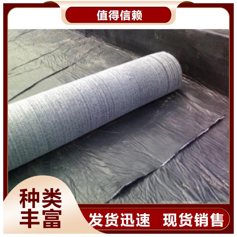 防水毯土工布价格专业的生产厂家