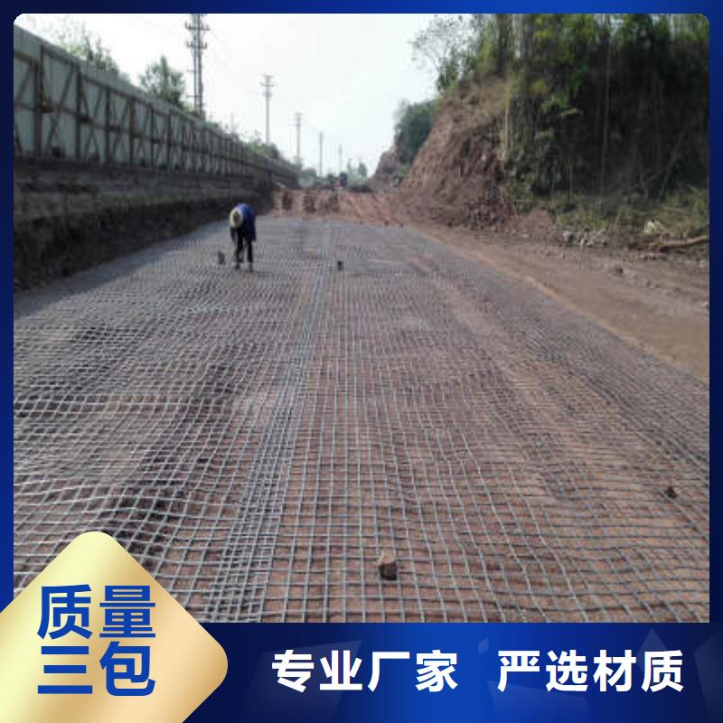 经编涤纶土工格栅厂家防渗反滤道路养护环保防尘