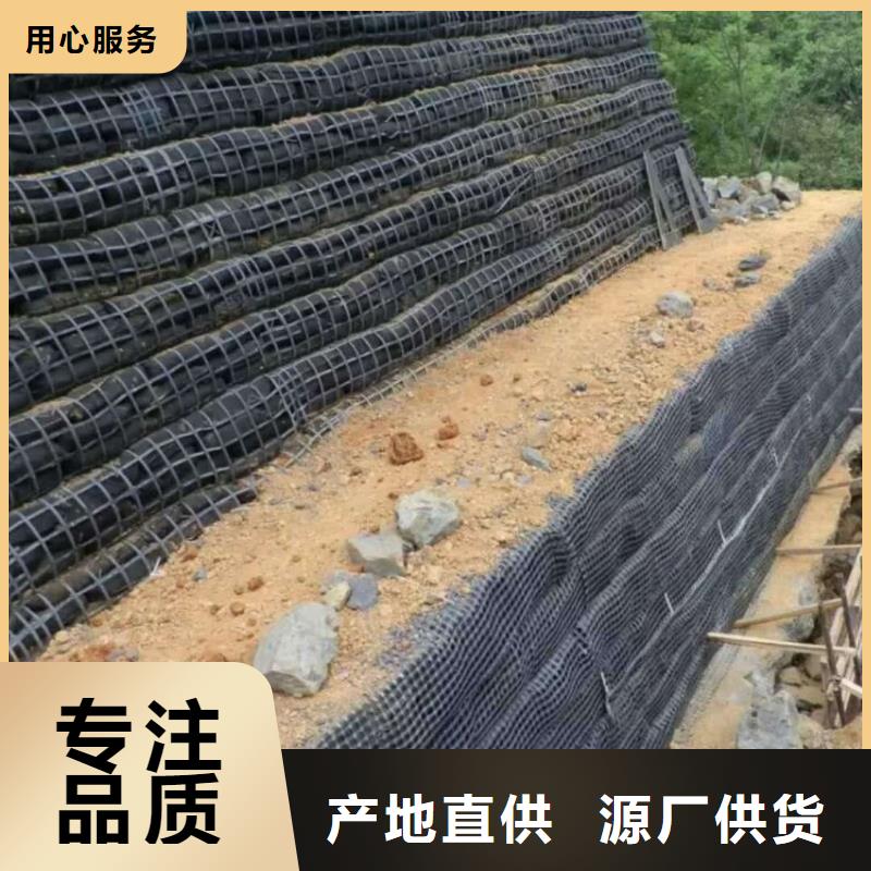 经编涤纶土工格栅厂家防渗反滤道路养护环保防尘