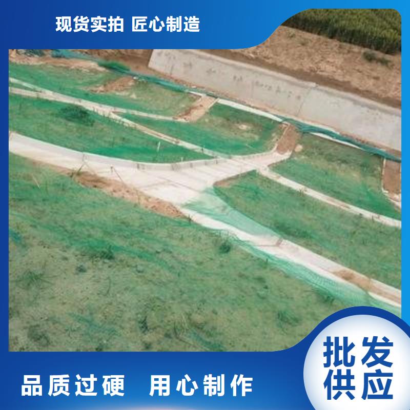 三维植被网,涤纶土工格栅服务周到