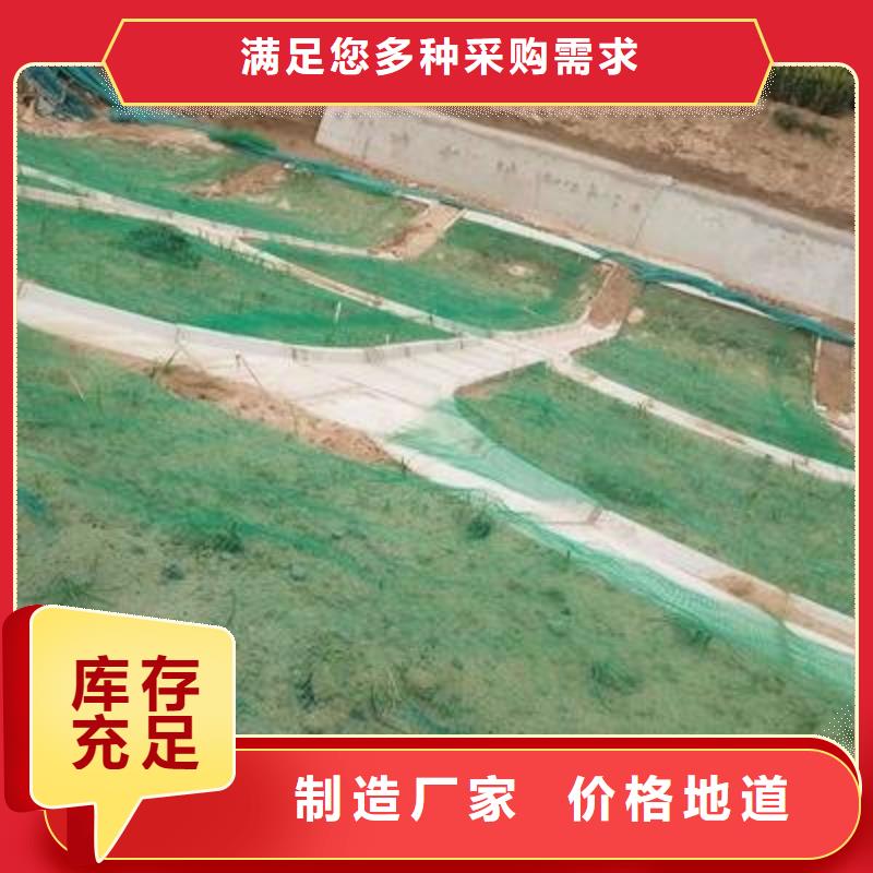 三维植被网,公路边坡植草绿化,三维土工网垫