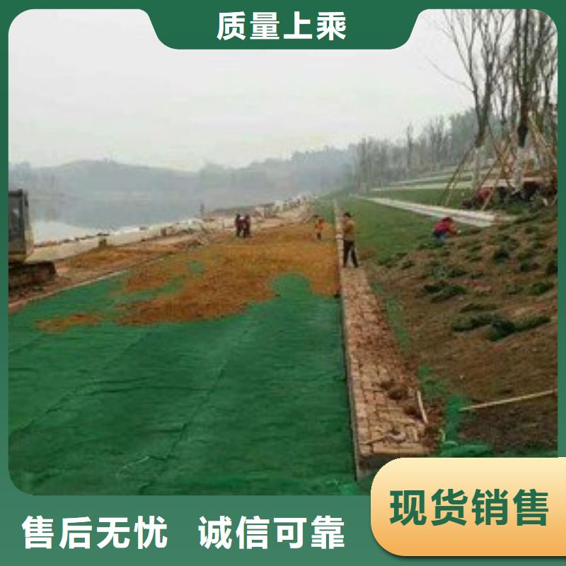 公路护坡三维植被网批发生产