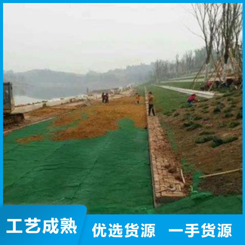 公路护坡三维植被网批发生产