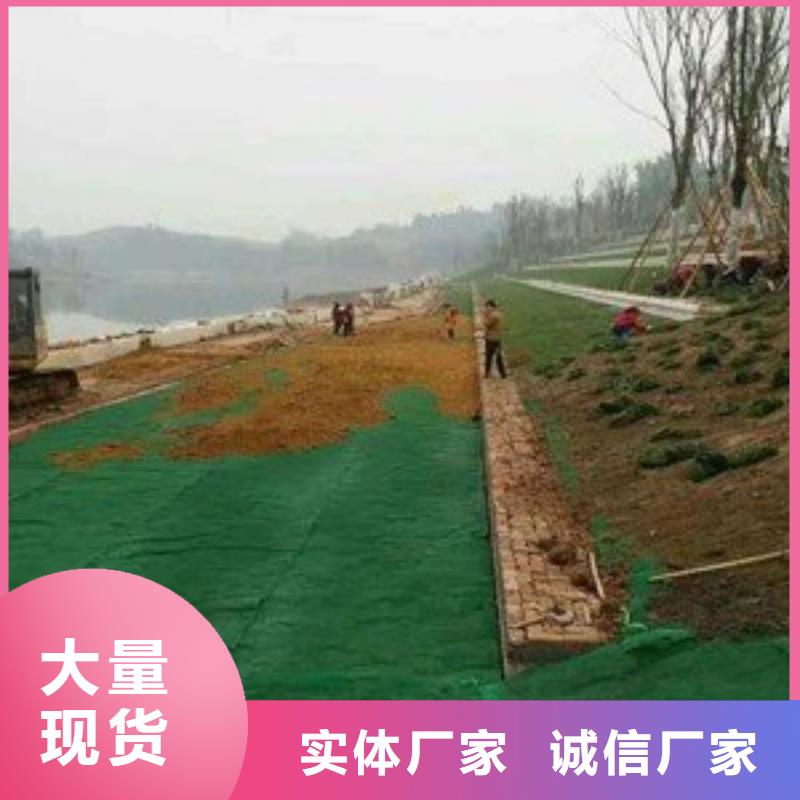 【三维植被网土工席垫用心制造】