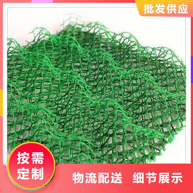 【 三维植被网-塑料排水板厂家直销供货稳定】 亿路通新材料(无锡市分公司)