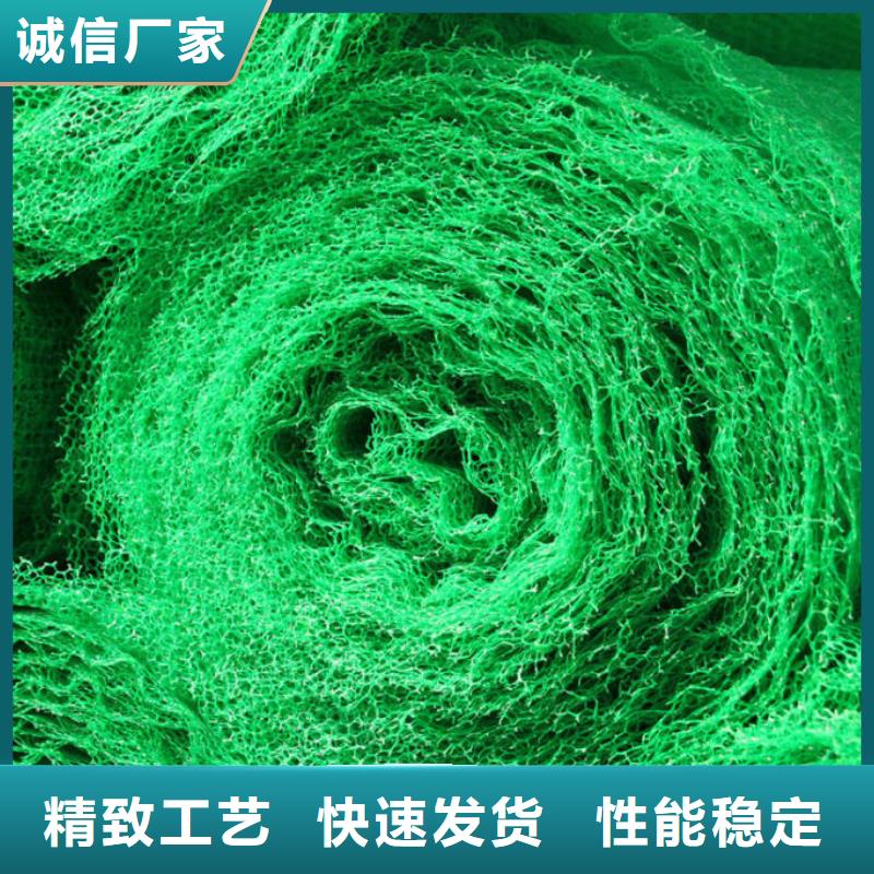 【 三维植被网_聚丙烯双拉土工格栅一周内发货】本地制造商