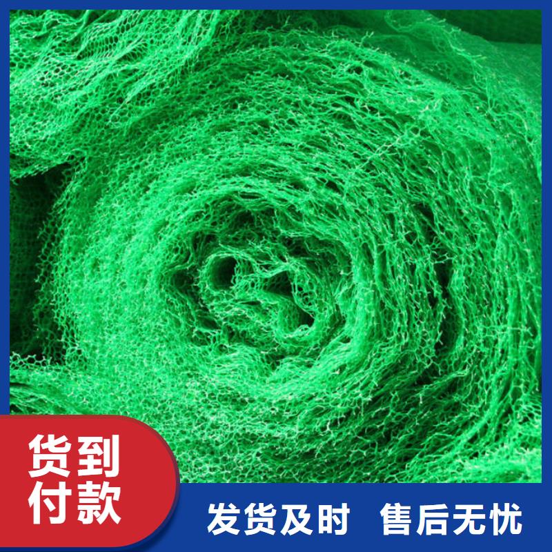 三维植被网护坡土工网优选厂家