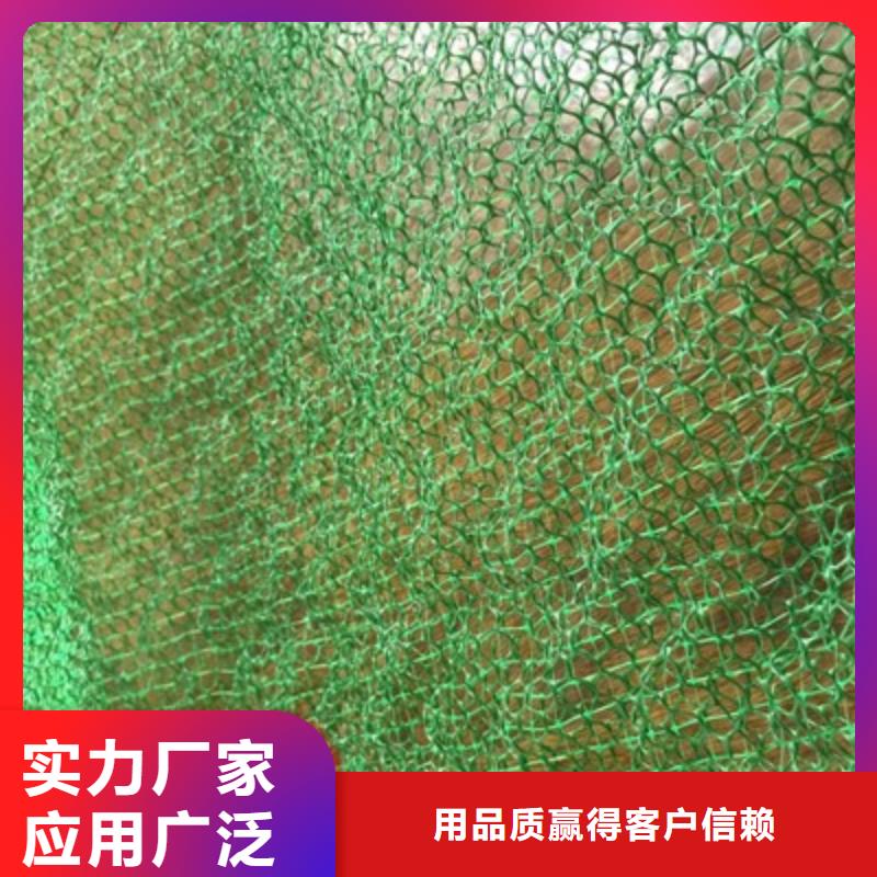 三維植被網規格定制EM2-EM3-EM4-