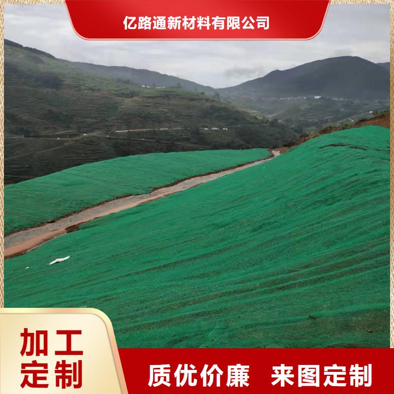 【 三维植被网-塑料排水板厂家直销供货稳定】同城制造商